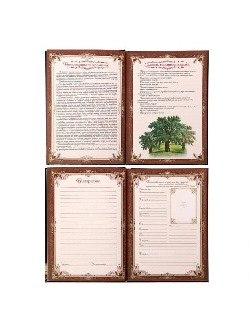Родословная книга "Древо жизни" в шкатулке